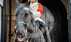 A horse carrying a Royal Horse Guard on sentry duty