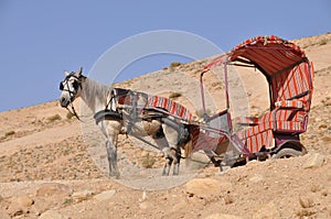 Horse cart