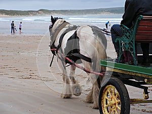 Horse and Cart on the beach.