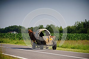 a horse and cart on a country road in East Europe, Romania photo