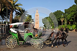 Horse cart in Djemaa El Fna square in Marrakesh