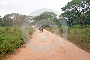 Horse cart driving in Bagan Myanmar