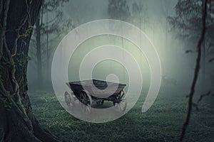 Horse cart in in a   forest with big  tree and fog, Fantasy wallpaper