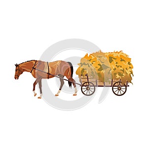 Horse with cart full of hay.