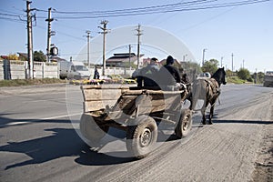 Gypsy cart pulled by horse