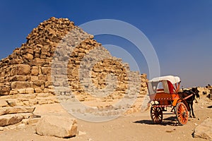 Horse cart at giza pyramid , cairo in egypt