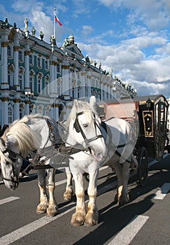 Horse cart near museum in Saint Petersburg