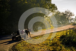 Horse cart on serpentine on foggy morning