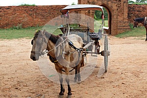 Horse cart with small wagon in old Bagan, Myanmar