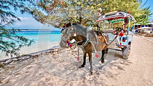 A horse and cart used as local transportation in the Gili Islands, Indonesia.