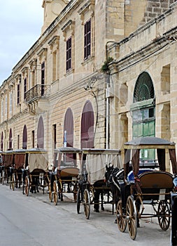 Horse Carts of Malta