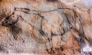 Rock painting of a horse photo