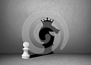 Horse chess shadow on wall, winner photo