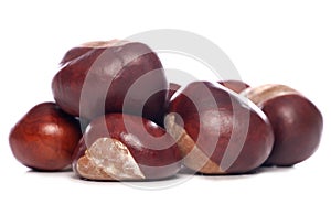 Horse-chestnut conkers