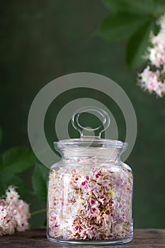 Horse chestnut flowers in a glass jar. Production of medicines, tablets, tinctures.