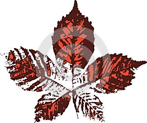 Horse chestnut leaf stamp. Imprint of fallen leaves. Autumn pattern.