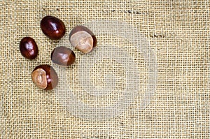 Horse chestnuts at burlap surface