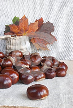 Horse chestnuts or conkers on the table, basket with autumn leaves.