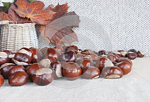 Horse chestnuts or conkers on the table, basket with autumn leaves.