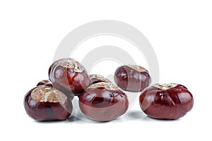 Horse-chestnuts isolated