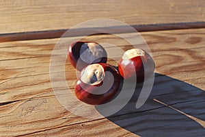 Horse chestnuts on wood table under sunset light.