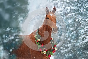 Horse in christmas decoration