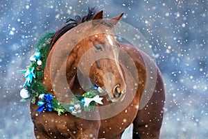 Horse in christmas wreath