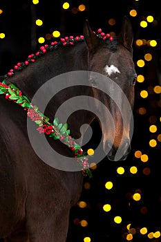 Horse in a christmas wreath on black background