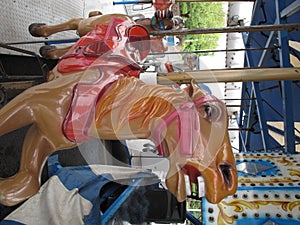 Horse close up at a merry go round.