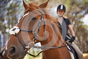 Horse, closeup and equestrian riding in nature on adventure and journey in countryside. Animal, face and rider outdoor