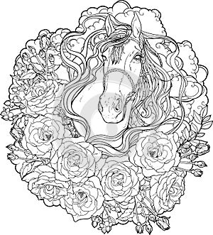 Horse with clouds and roses. Coloring page.