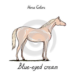 Horse color chart. Equine coat colors with text. Equestrian scheme.