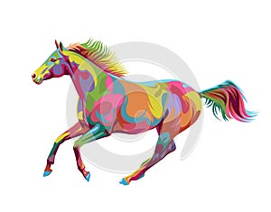 Horse colorfull vector illustration design