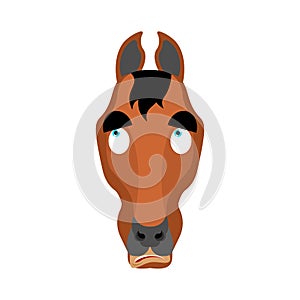 Horse confused oops. Steed perplexed emotions. hoss surprise. Vector illustration