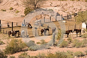 Horse corral