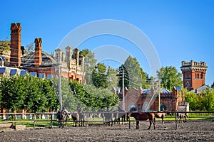 Horse corral at the Starozhilovo stud farm