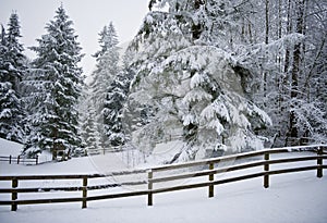 Horse Corral in Winter Snow