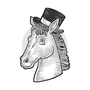 Horse in cylinder hat sketch vector illustration