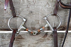 Horse D-Ring Snaffle Bit