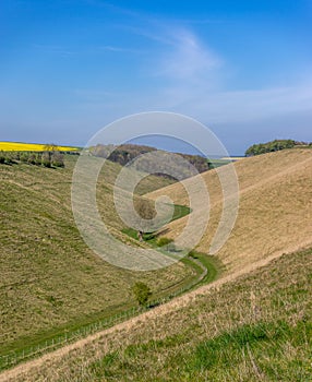 Horse Dale in the Yorkshire Wolds