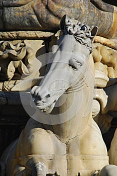 Horse Detail from Neptune Statue, Florence