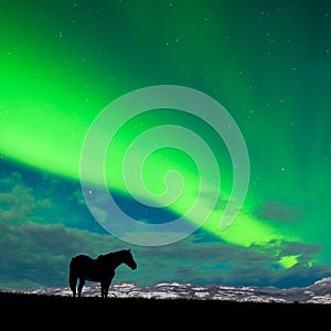 Horse distant snowy peaks with Northern Lights sky