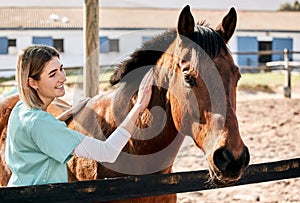 Horse doctor, care and smile at farm for health, care or happy with love for animal in nature. Vet, woman and stroke for