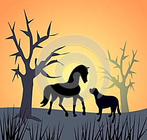 Horse and Dog by Sunset