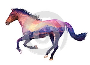 Horse double exposure illustration