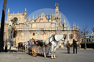 Horse-drawn barouche waiting for turists in Seville photo