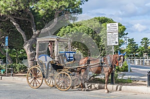 Horse-drawn Buggy in Mdina, Malta