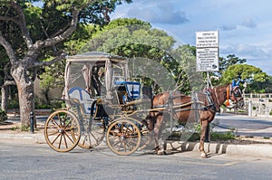 Horse-drawn Buggy in Mdina, Malta