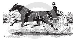Horse Drawn Buggy, vintage illustration