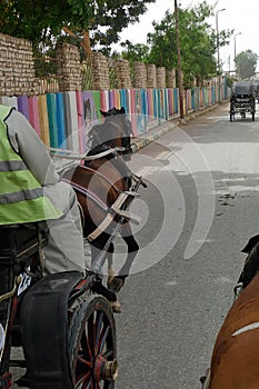 Horse drawn caleche carriage returns tourists to their cruise ship